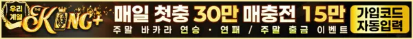 카지노사이트 더킹플러스